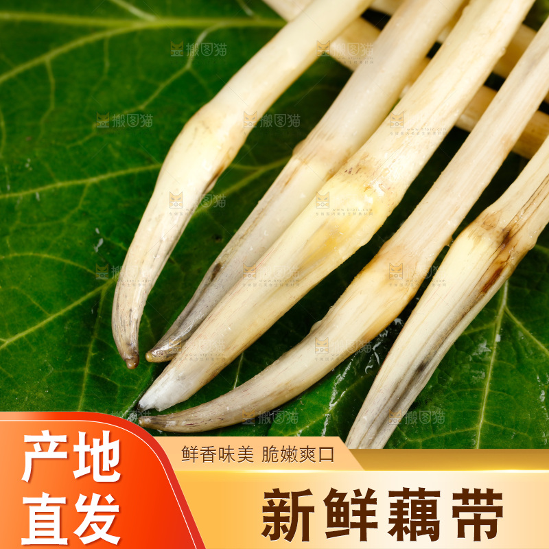 藕带