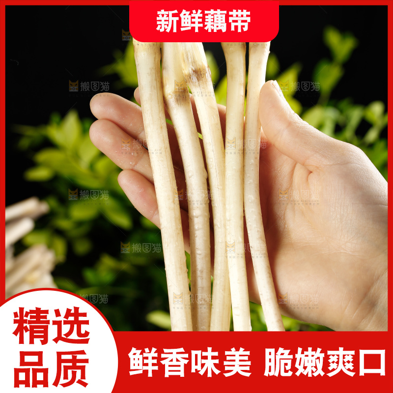 藕带