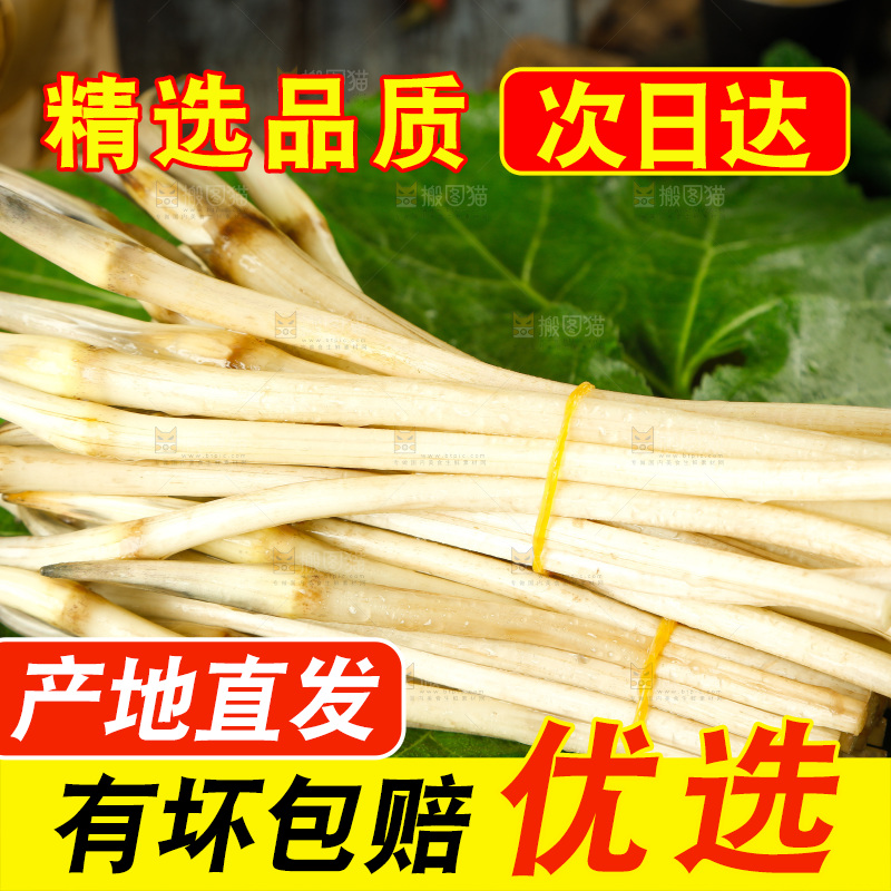 藕带