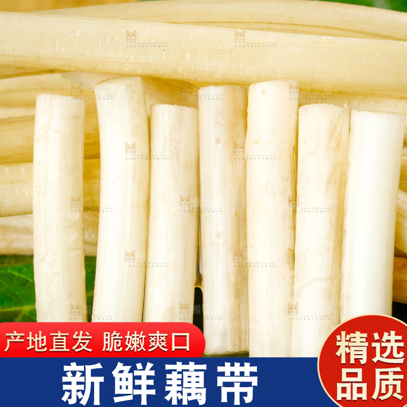 藕带