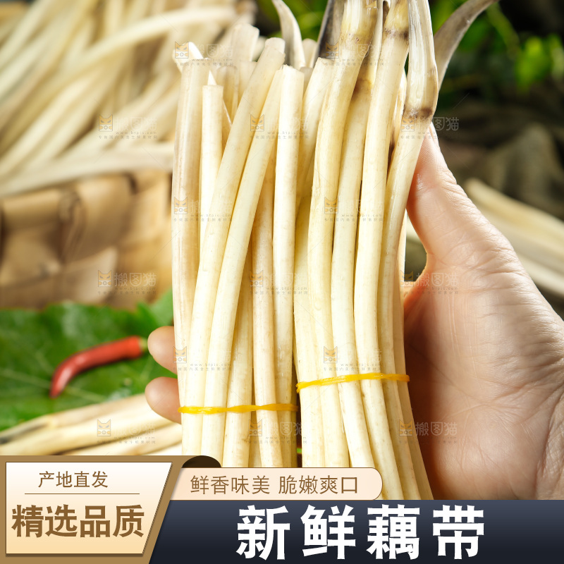 藕带