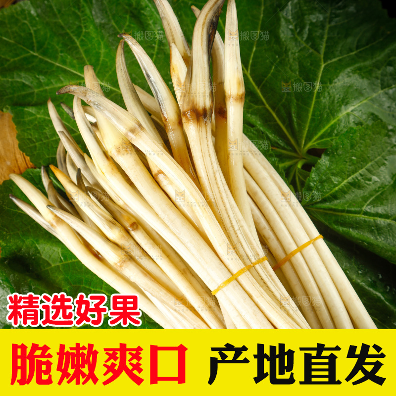 藕带