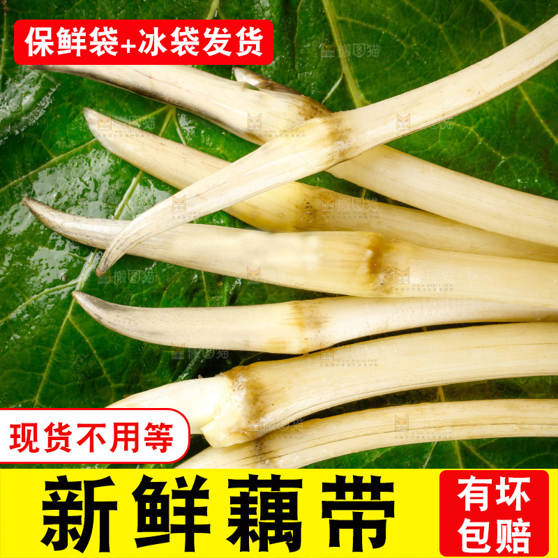 藕带