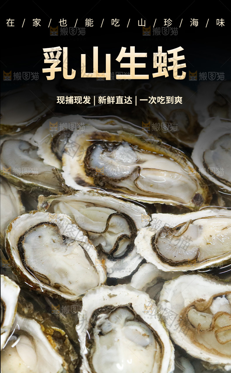 生蚝详情页