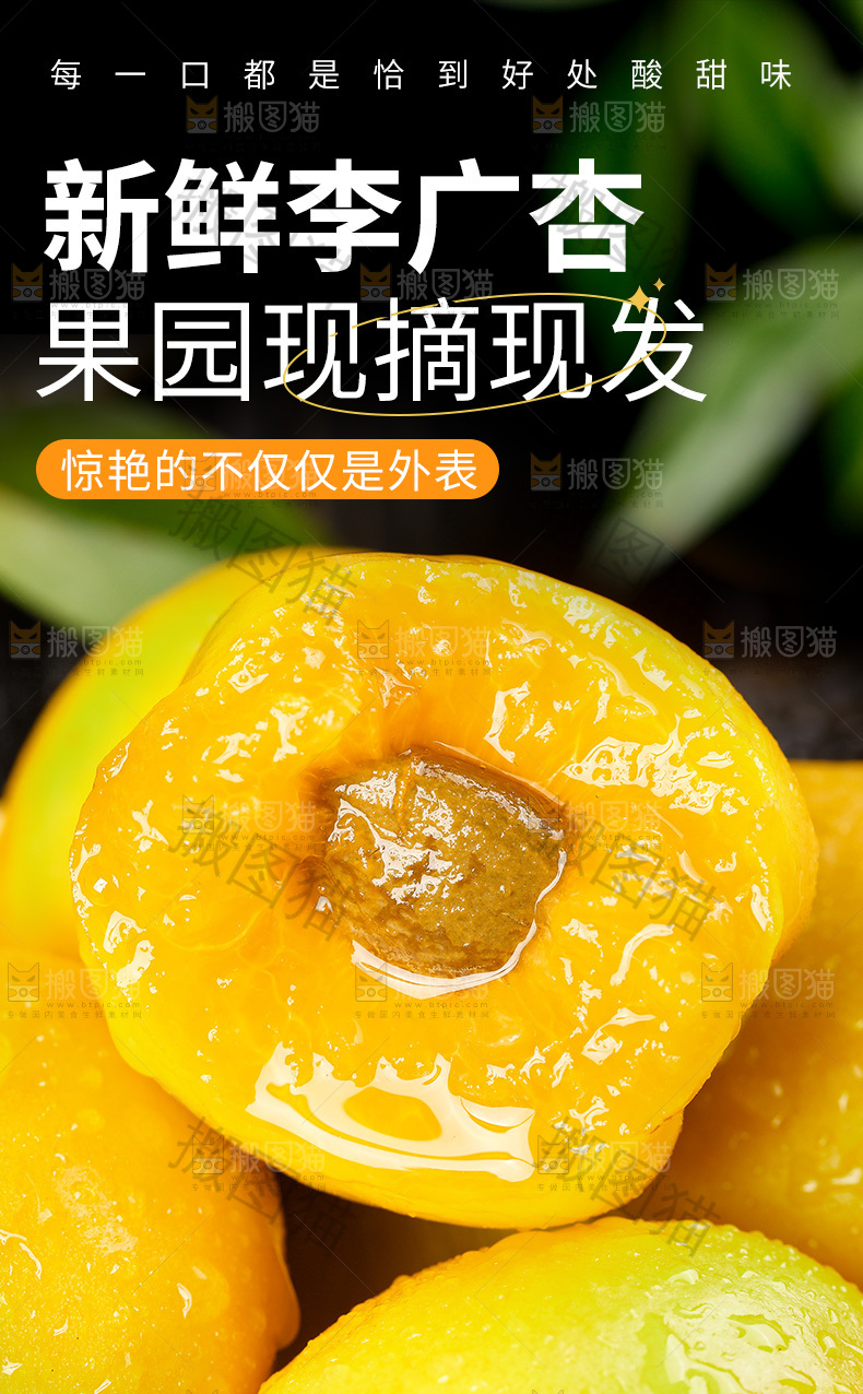李广杏详情页