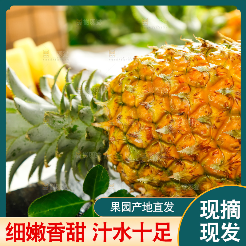 菠萝