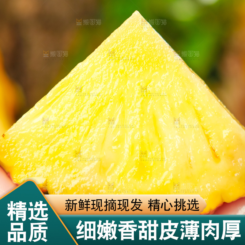 菠萝