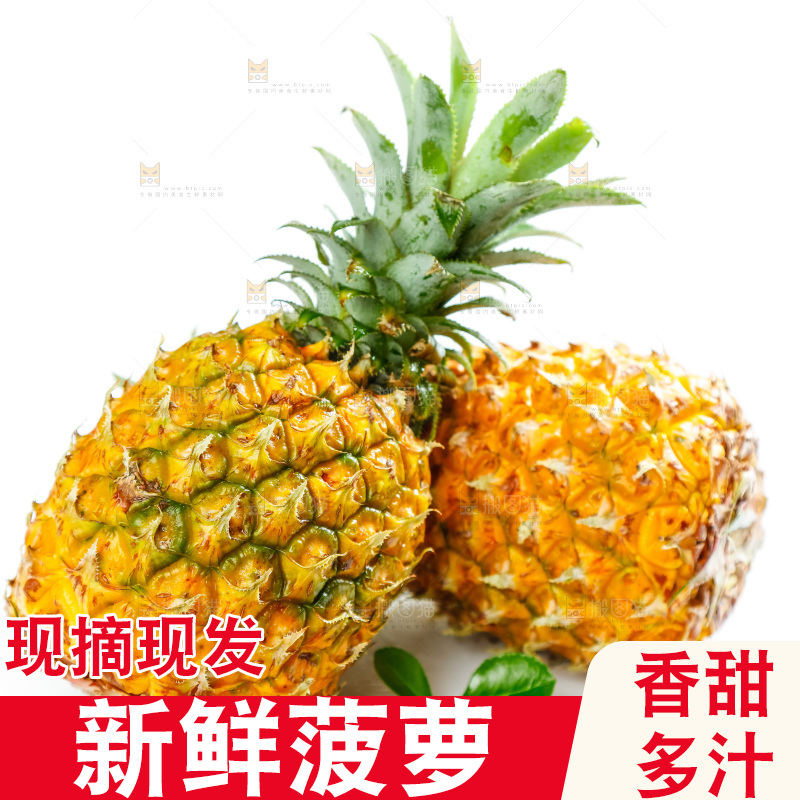 菠萝