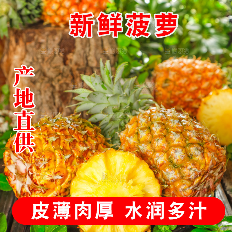 菠萝