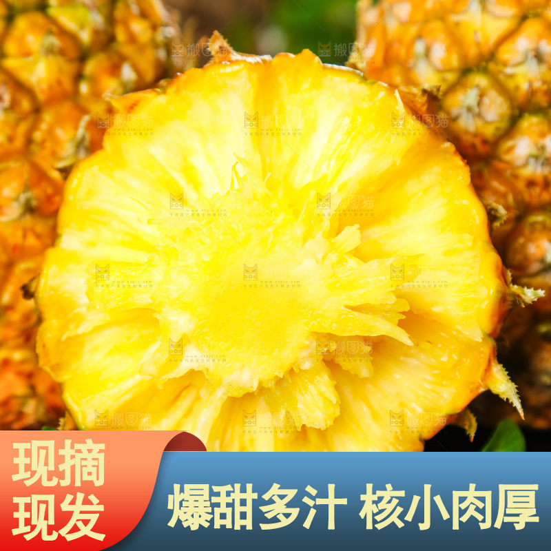 菠萝