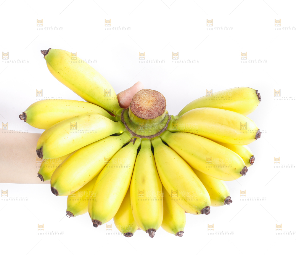 皇帝蕉