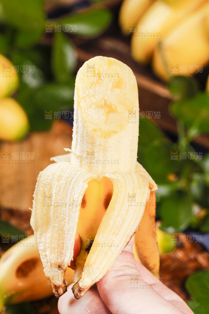 皇帝蕉