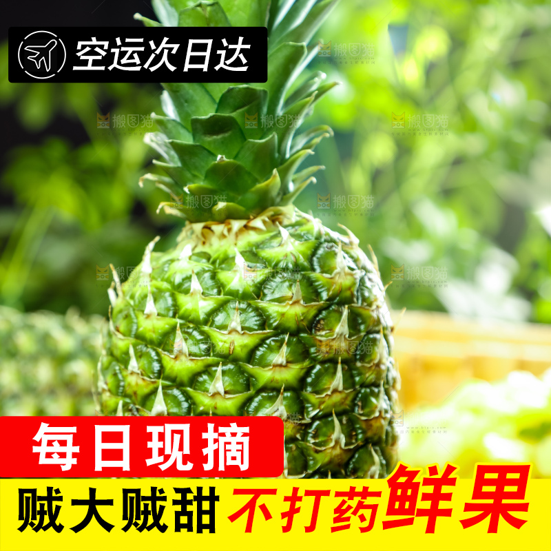 凤梨