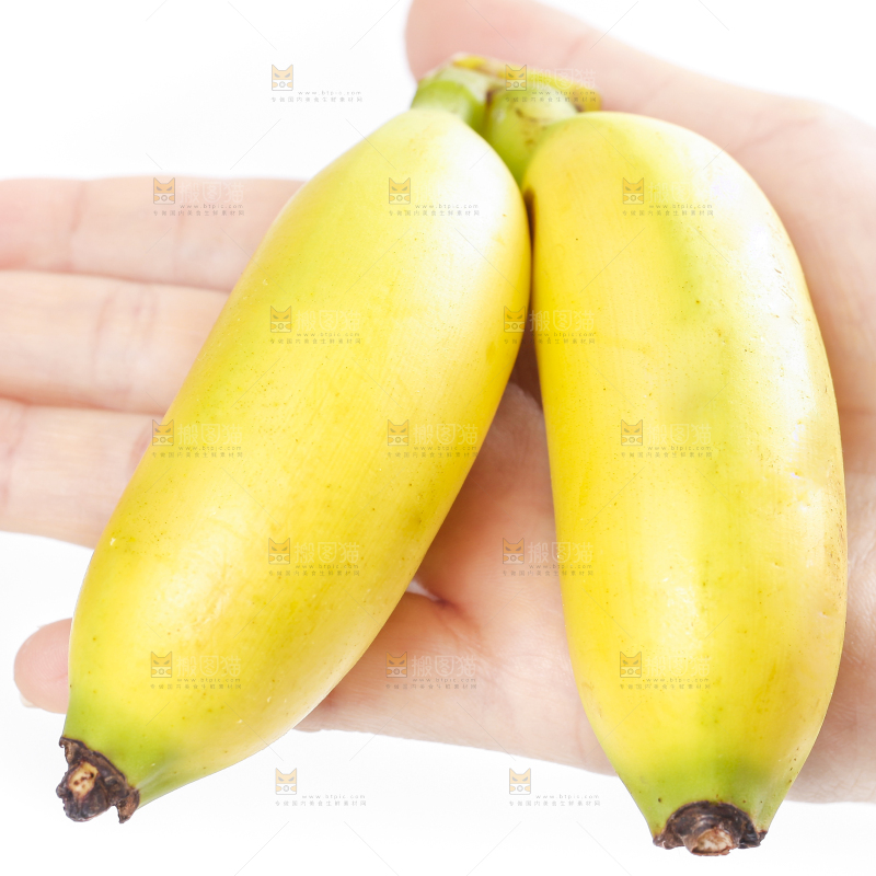皇帝蕉