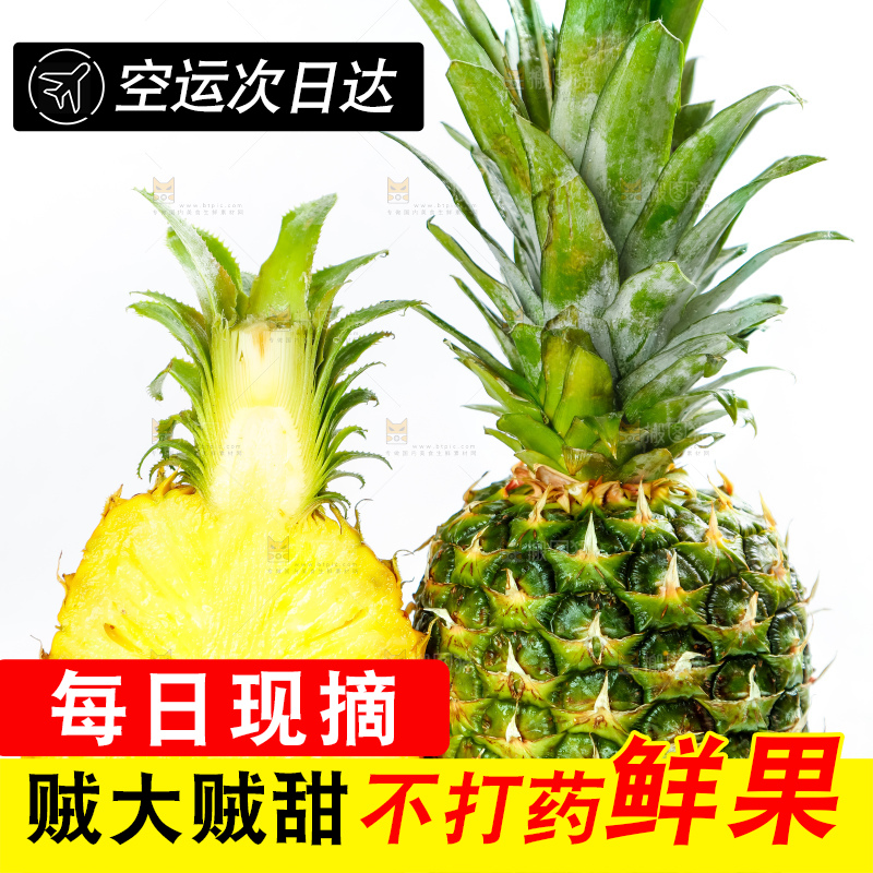 凤梨
