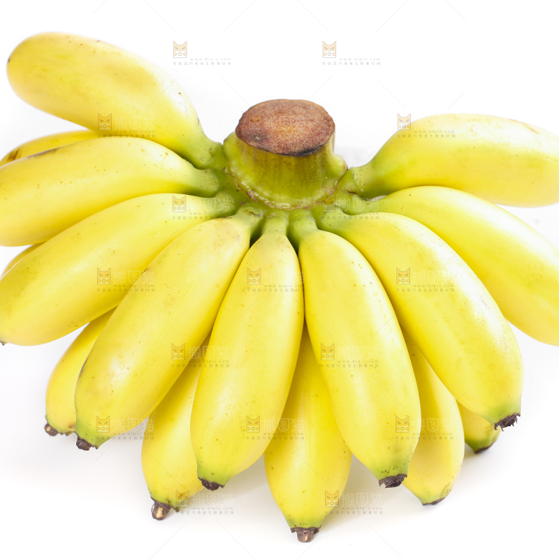 皇帝蕉