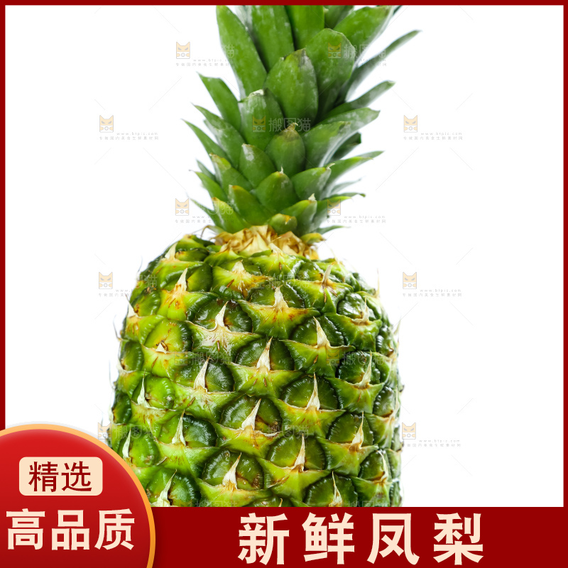 凤梨