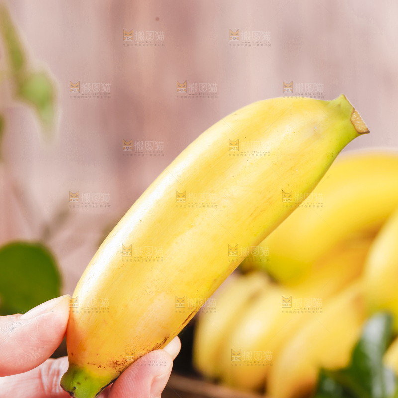 皇帝蕉