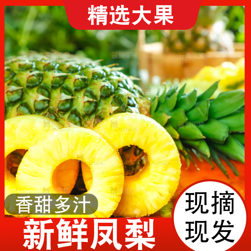 凤梨