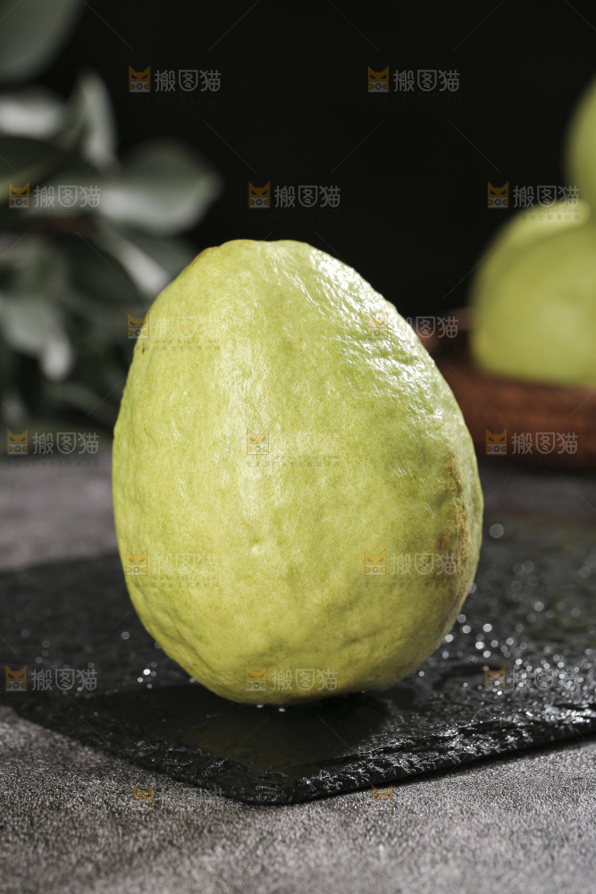 白心芭乐