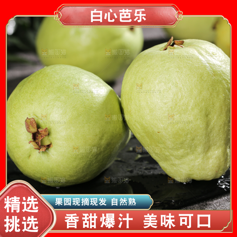 白心芭乐