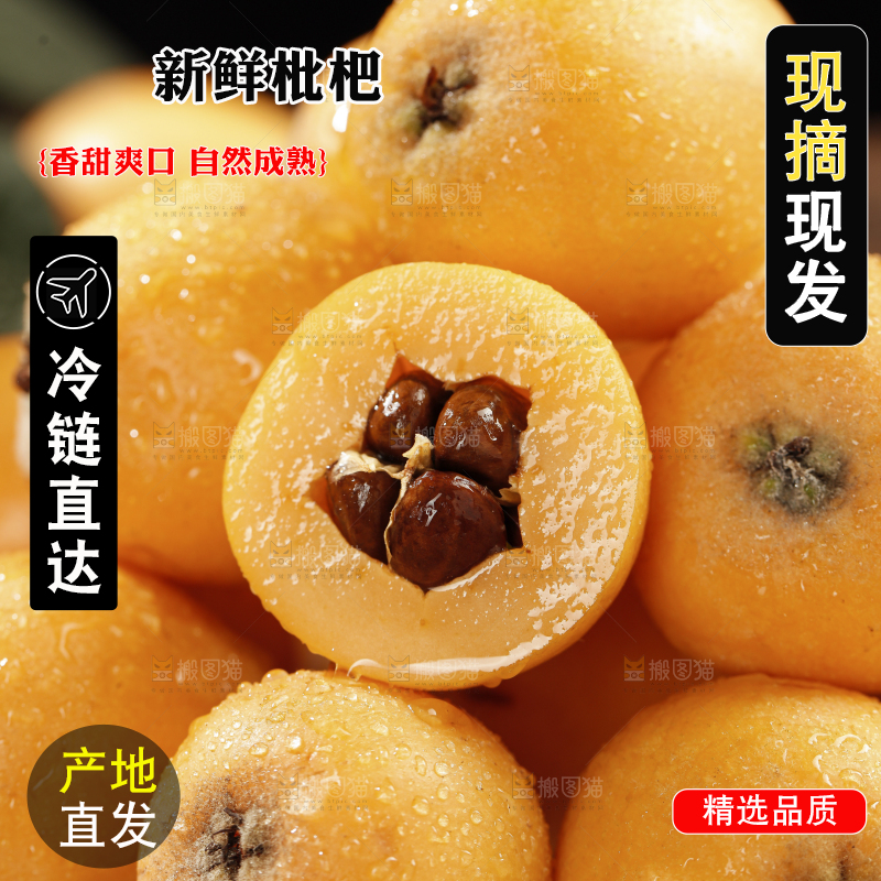 枇杷