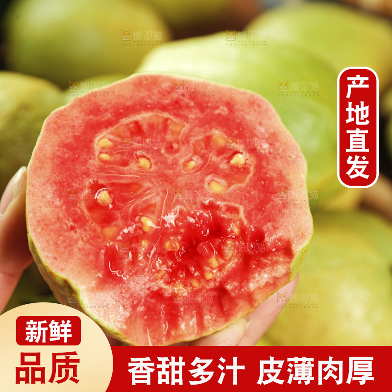 红心芭乐