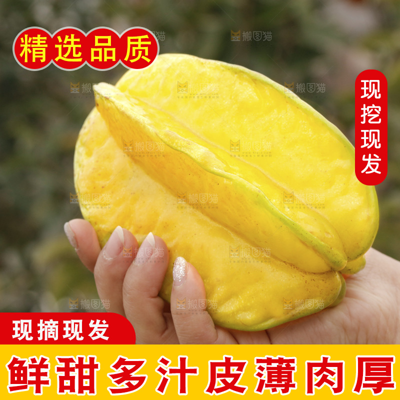 杨桃