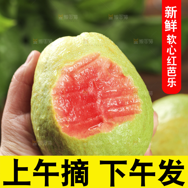 红心芭乐