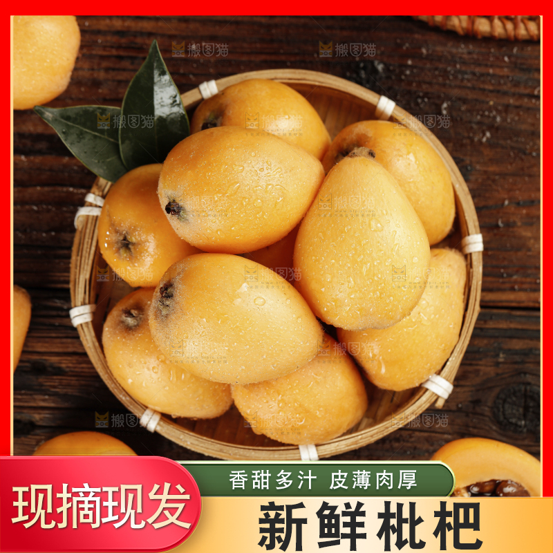 枇杷
