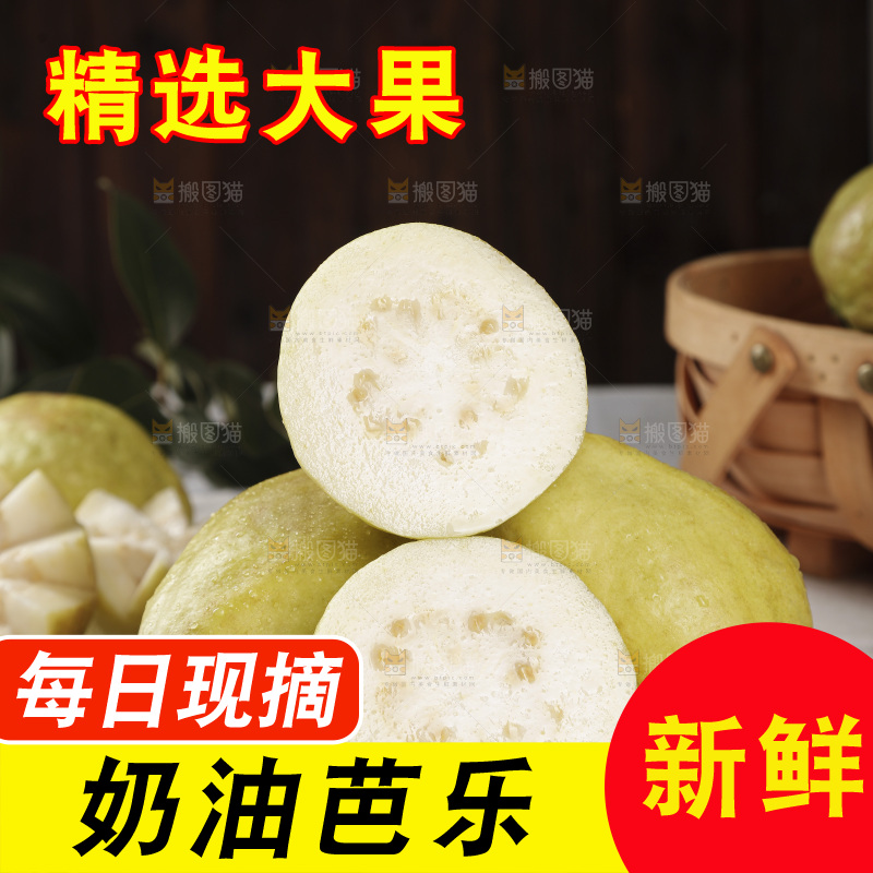 白心芭乐