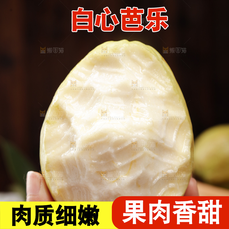 白心芭乐