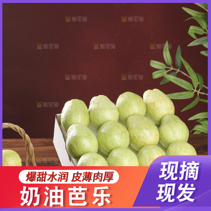 白心芭乐