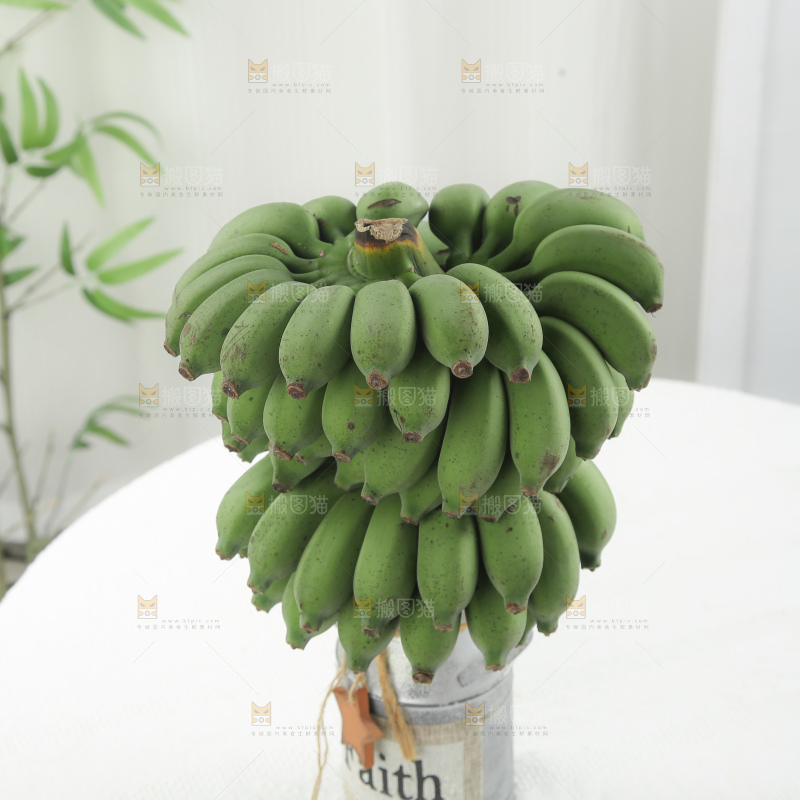水培香蕉