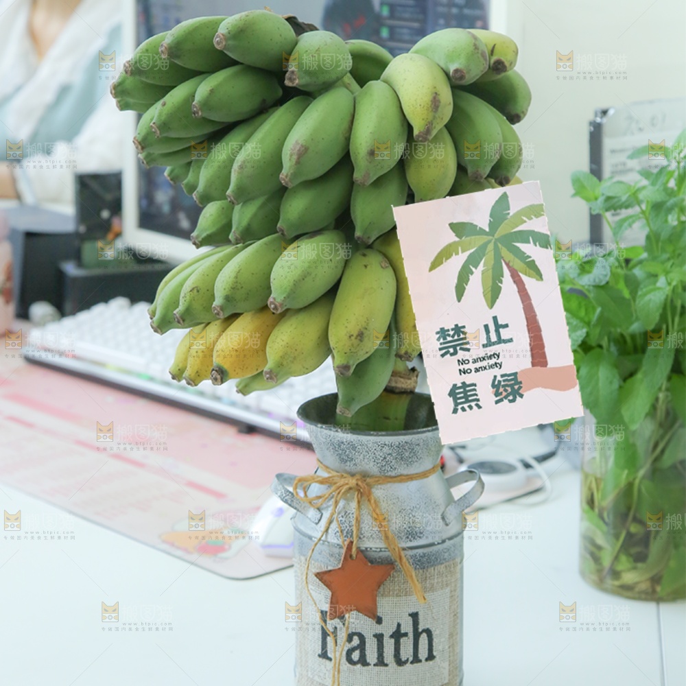 水培香蕉主图