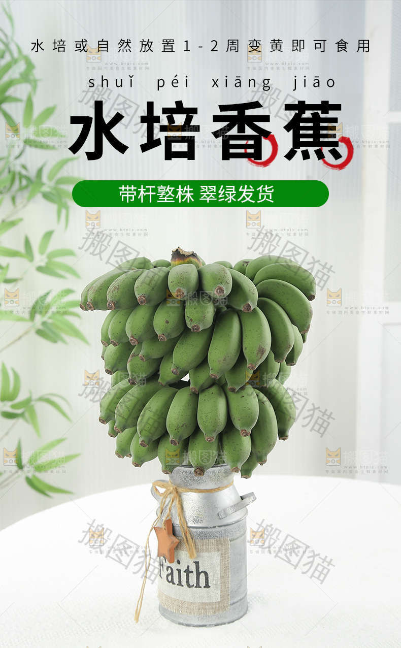 水培香蕉详情页
