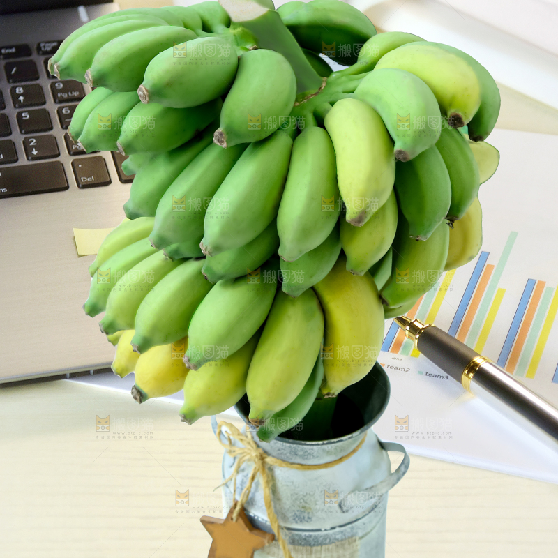 水培香蕉