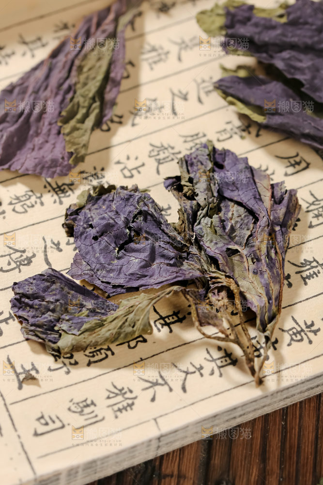 干紫苏