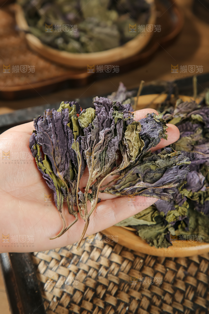 干紫苏
