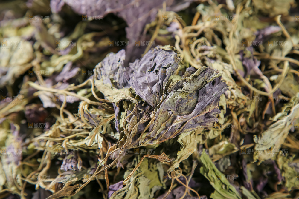 干紫苏