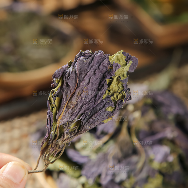 干紫苏