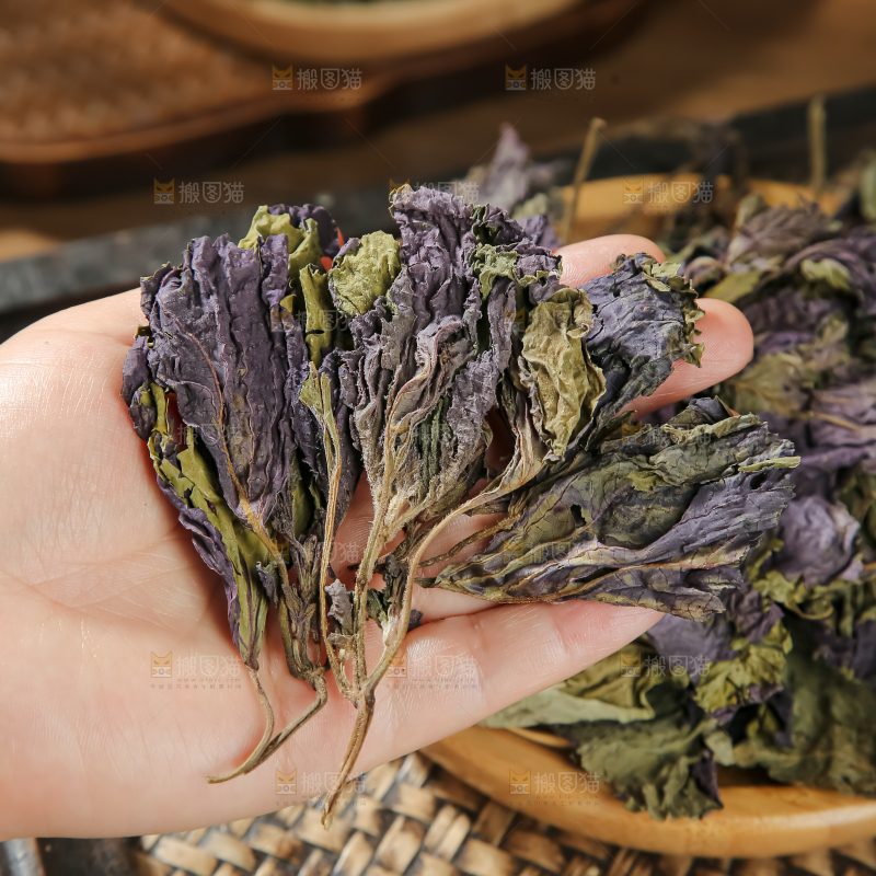 干紫苏