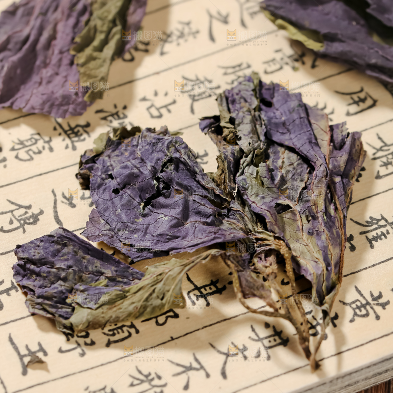 干紫苏