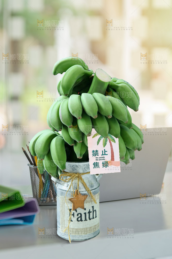 水培香蕉