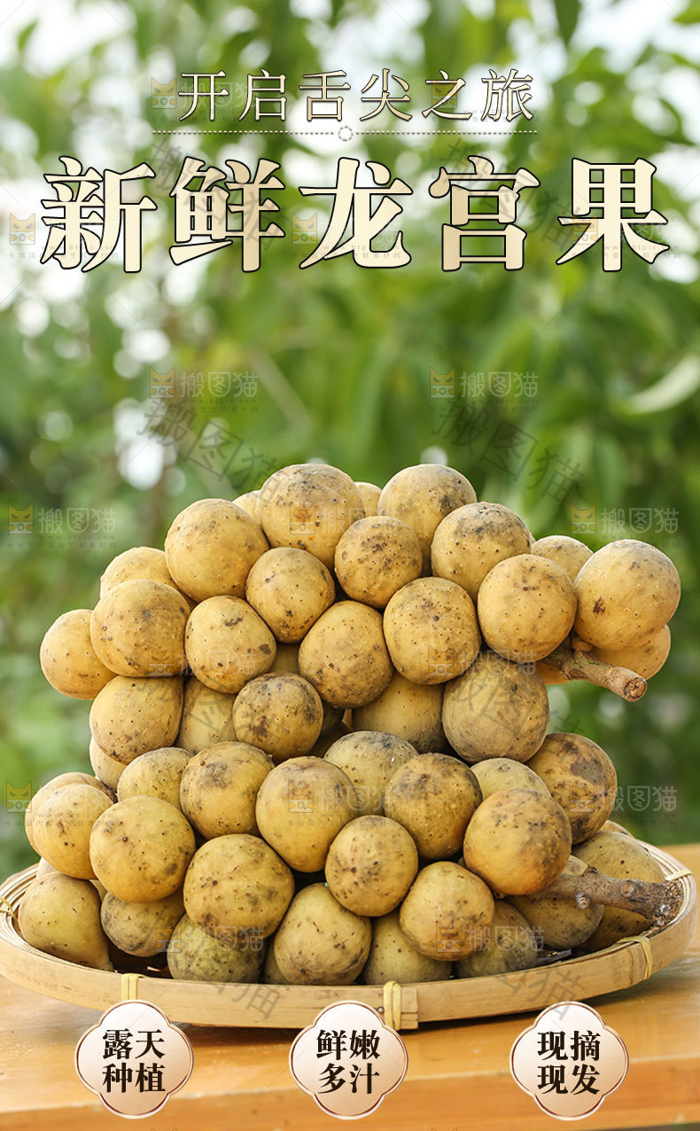 龙宫果详情页