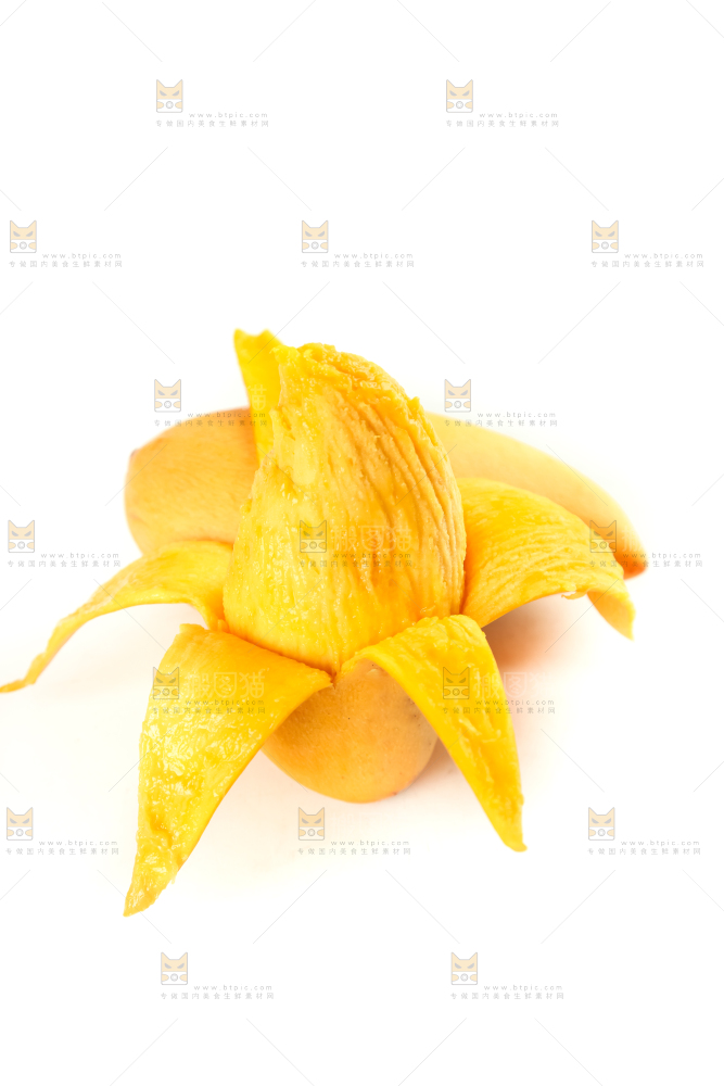 鹰嘴芒