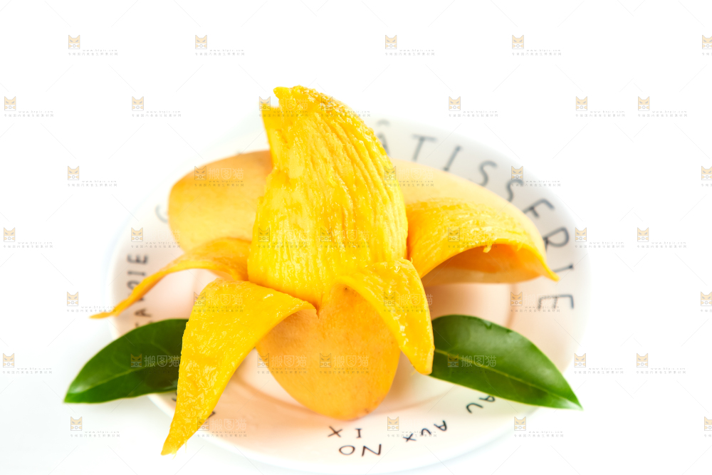 鹰嘴芒