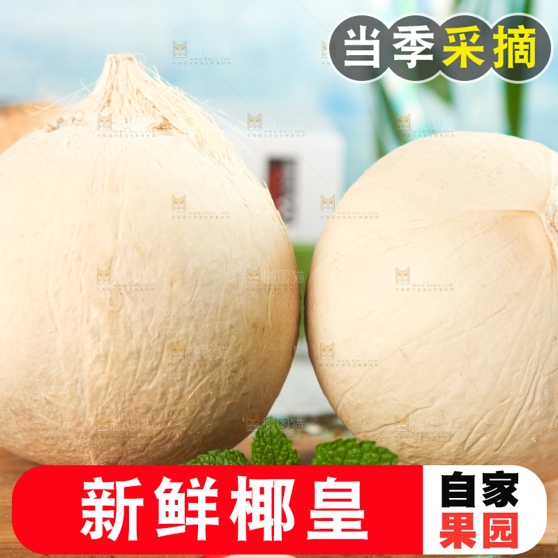 牛奶椰皇