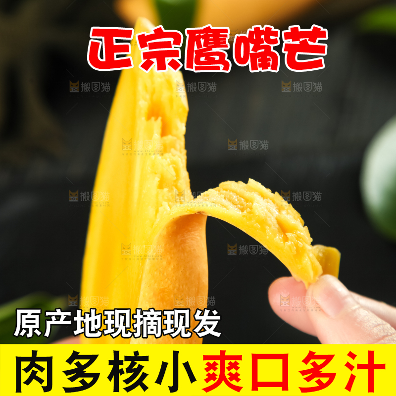 鹰嘴芒