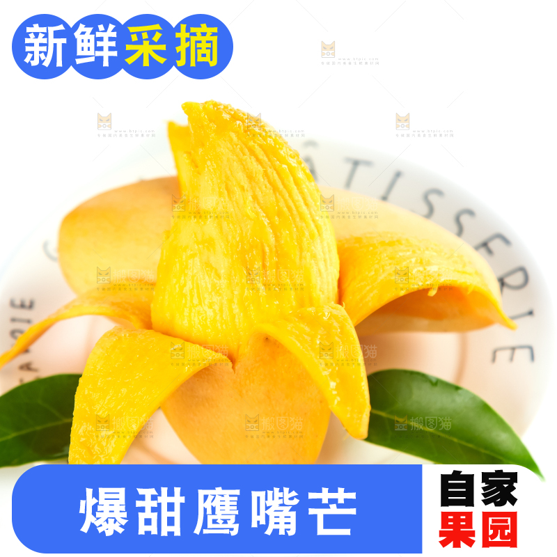 鹰嘴芒